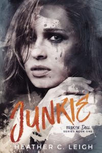 Junkie-ebook